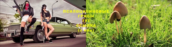 соль курить ск Алексеевка