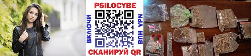 наркошоп  Черногорск  Псилоцибиновые грибы ЛСД 